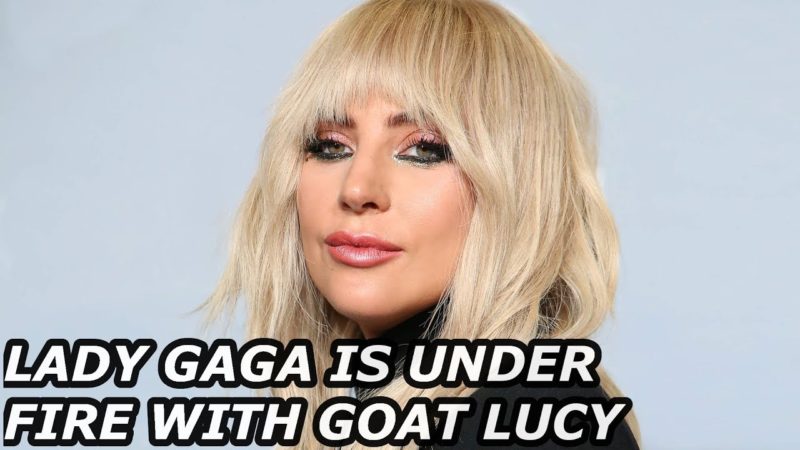 LADY GAGA| IS UNDER FIRE WITH GOAT LUCY/HER MUSIC CAREER MIGHT BE OVER-2018