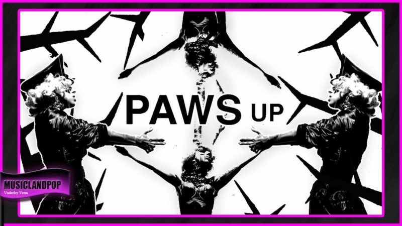 Lady GaGa Put Your Paws Up [MUSIC VIDEO]  #LG6 #ENIGMA #ASIB (VanVeras Remix)