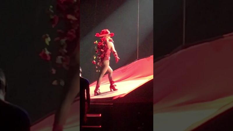 Lady Gaga – Bloody Mary/Dancin’ in Circles (Joanne World Tour – Pittsburgh, PA 11/20/17)