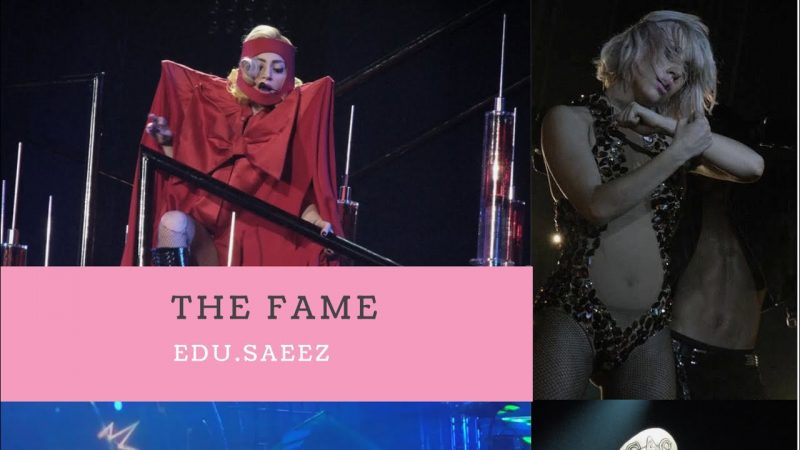 Lady Gaga | The Fame | Live Evolution | HD |